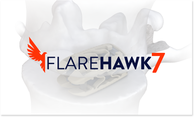 Flarehawk7